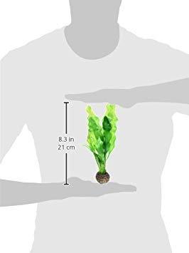 biOrb Easy Plant Pack, Small (Pack of 2) - color: Green, size: Small