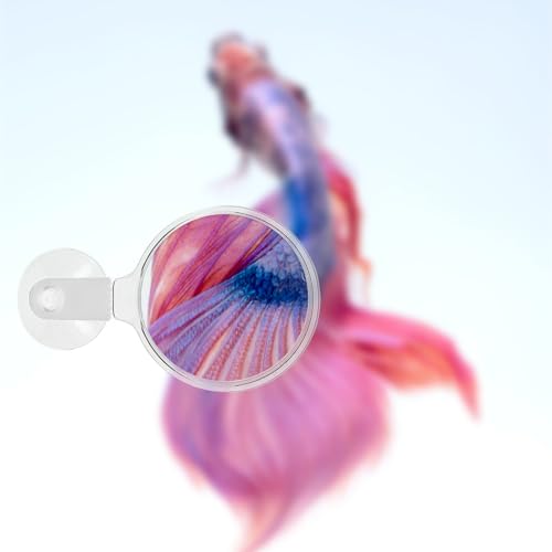 Mipcase Aquarium Magnifier, Acrylic Fish Tank Magnifying Glass, Fish Tank Viewer, Small Animal Magnifier with Suction Fish Tank Magnifying Glass Fish Tank Accessories