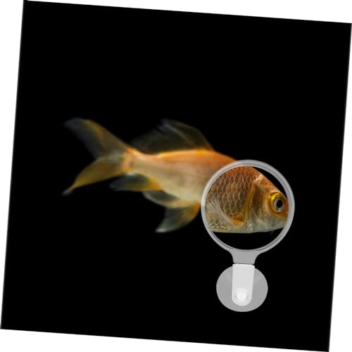 BESPORTBLE Magnifier for Fish Tank Glass Cup for Aquarium Exploration View of Landscapes Small Animals and Plants Educational Tool for Nature Observation