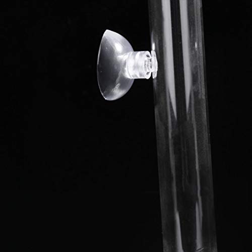 POPETPOP Feeder with Plate Shrimp Dish Feeder Container for Shrimp Tropical Fish African Dwarf Frog Aquarium Fish Tank - size: 20x3x3cm
