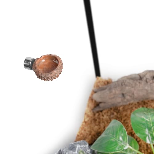 Jumping Spider Hideout and Feeding Dish, 3 in 1 Nut Shaped Hide Cave Sets for Spider Playing Feeding Climbing, Enclosure Accessories