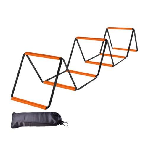 Qianly Agility Ladder, Speed Ladder, Foldable Portable Football Footwork Ladder, Agility Training Equipment for Workout, 8 Grids with Bag
