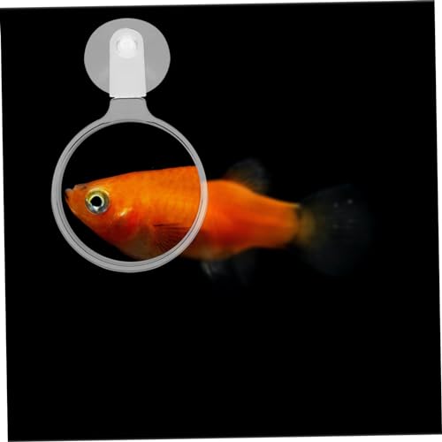 MERRYHAPY Aquarium Magnifier Coral Viewer Acrylic Magnifying Glass Suction Cup Magnifier for Fish Plant Spider
