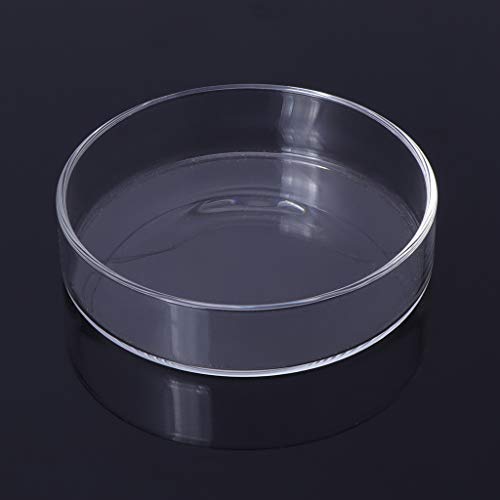 Shrimp Feeder Dish Glass Feeding Tray Aquarium Fish For Tank Reptiles Round Bowl 3.9in 3.5in 3.2in 3.0in 2.6in 2.4i Fish Tank Supplies Shrimp Feeder Tube Shrimp Feeder Dish Shrimp Feeder Dish And