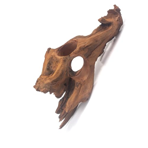 emours Porous Natural Driftwood for Aquarium, Aquascaping Driftwood with Holes, Hand-Selected Tunnels & Hideouts, Aquascaping Hardscape, Terrarium Reptile Décor, No Paint or Resin (8-12" (20-30 cm)) - size: 8-12" (20-30 cm)