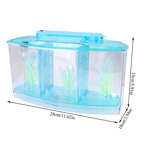 Aquarium Tank, Three Divisions LED Acrylic Fish Tank, Desktop Aquarium | Portable Fish Tank | Travel Fish Tank | Cool Fish Tank | Breeding Isolation Box Fishtank for Baby Fish