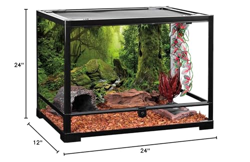 Forest Green Tree Terrarium Backdrop Reptile Habitat Background 24x12 in | AWERT Tropical Foggy Rainforest Stream Aquarium Durable Polyester Background - size: 24 x 12 inches