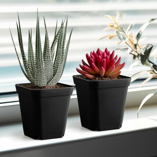 80 Pcs Nursery Pots 4 Inch, Plastic Seed Starting Pot with Drainage Holes, Sturdy Seedling pots for Planting, Succulents, Transplanting, Cuttings (Black) - color: Black, size: 4 Inch-80P