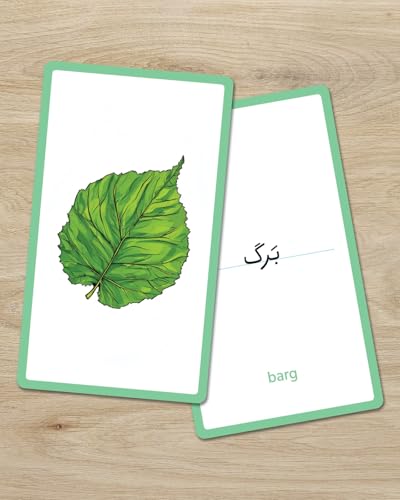 Persian Vocabulary Flashcards: Nature | Ideal for Kids and Adult learners. - style: Nature
