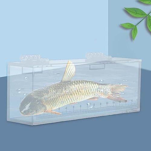 Acrylic for Fishing Photo Tank, L - size: Large