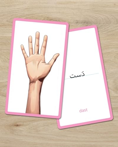 Persian Vocabulary Flashcards: Body Parts | Ideal for Kids and Adult learners. - style: Body Parts