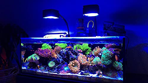 Ai Prime 16 HD Reef Aquarium Led Light Shade and Diffuser