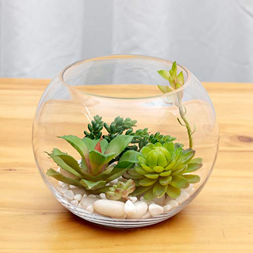 WGV Bowl Glass Vase, Diameter 10", Height 8", Open Width 6", (Multiple Sizes Choices) Clear Bubble Planter Terrarium Fish Bowl for Wedding Event Home Decor, 1 Piece (VBW0010) - size: 10"D 1 Piece