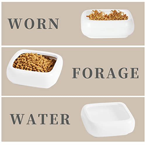Ceramic Reptile Food Bowls, Reptile Water Food Dish (White, Small 2-Pack)