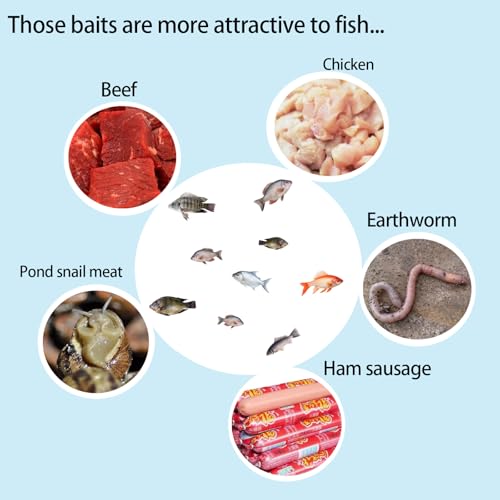 Portable and Plastic Aquarium Minnow&Small Fish Trap for Aquarium Children Fishing Outdoors,Durable Container Bait Trap Suitable for Fishing,Crab,Shrimp,Turtle - size: Medium