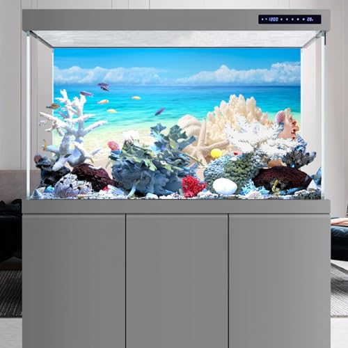 AWERT Vinyl 24x16 inches Sea Beach Aquarium Background Summer Starfish Fish Tank Background Blue Ocean Terrarium Background - size: 24x16in/60x40cm