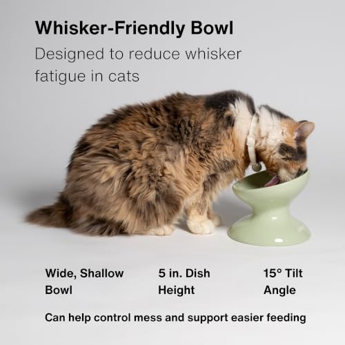 Raised Ceramic Cat Food Bowl, Tilted Bowl for Cats, Dogs, 12 oz, Plum - color: Plum