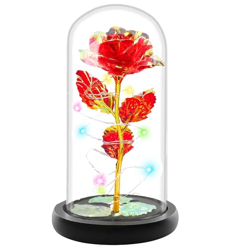 Fvawe Birthday Gifts for Women,Rose Glass Flowers Gifts for Mom,Galaxy Crystal Light Up Rose in A Glass Dome,Presents Girlfriend Wife Sister Grandma Her Anniversary Valentines Mothers Day, Red - color: Red Colorful