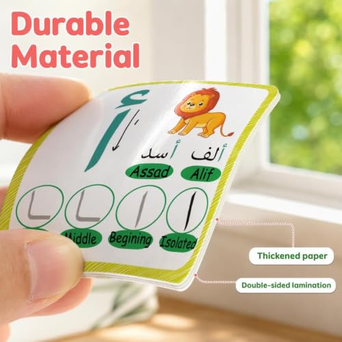36 Arabic Flash Cards, Arabic Alphabet Learning for Beginners, Adults