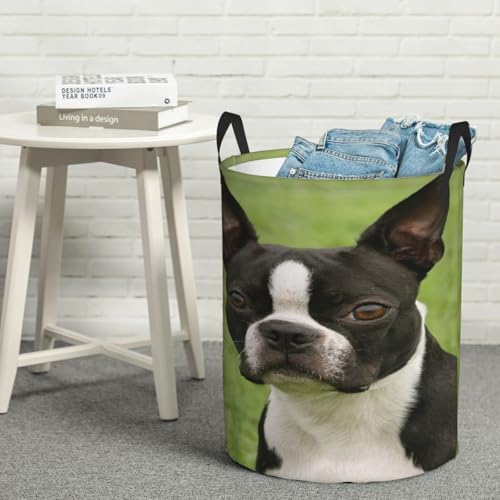 Boston Terrier Round Waterproof Oxford Cloth Laundry Basket Multi-Purpose Storage Basket Toys Books Clothes Storage Basket - color: Black 5