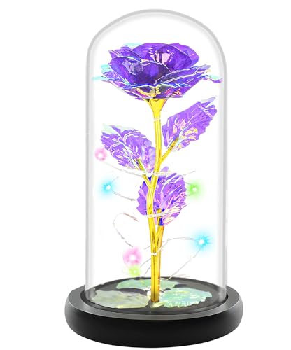 Fvawe Birthday Gifts for Women,Rose Glass Flowers Gifts for Mom,Galaxy Crystal Light Up Rose in A Glass Dome,Presents Girlfriend Wife Sister Grandma Her Anniversary Valentines Mothers Day, Purple - color: Purple Colorful