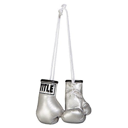 TITLE Boxing 3.5” Mini Boxing Gloves: Keyrings, Mini Boxing Gloves, Boxing Novelty Items, Boxing Gear - color: Silver