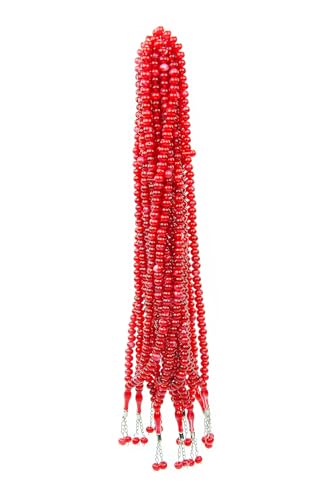 ihvan online, Tasbih Prayer Beads 99, Pack of 10, Muslim Prayer Bead, Islamic Rosary Bead, Dhikr, Tasbeeh Bulk, Misbaha, Masbaha, Tespih, Islamic Gift for Ramadan & Mawlid & Hajj Umrah - color: Red