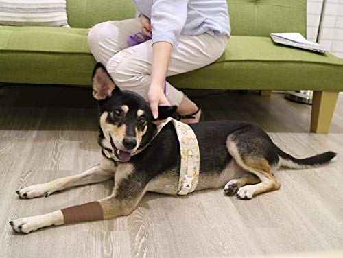 FRESINIDER 9 Rolls Self Adhesive Wrap Athletic Tape Gauze, Breathable Elastic Cohesive Bandage for Sports Injury & Pet (7 Pcs 2" x 5 Yards + 2 Pcs 1" X 5 Yards) (Brown) - color: Brown