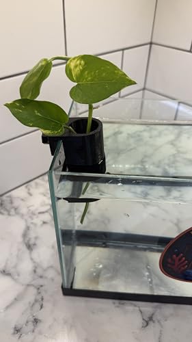 Aquarium Plant Holder for Standard Rimless Fish Tanks The Tube 3D Printed - Pothos Holder - Stemmed Plant Holder -Aquascaping & Aquarium Tool Holder
