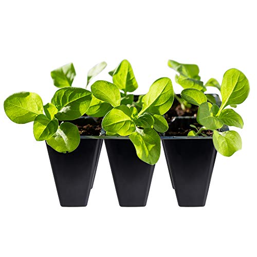 Gardzen 30 Pack 6-Cell Seed Starting Tray for Seedlings, Plant Starter Trays with Drainage Holes for Seed Germination, 5.4x3.7 inches, Black | Plant Starter Trays for Seed Germination and Seedlings, 5.4"x3.7" Growing Cells with Drainage Design for Healthy