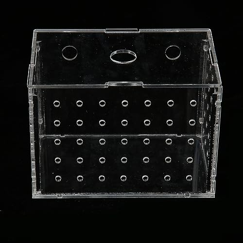 Fish Breeder Box, Aquarium Fish Breeding Boxes with Suction Cups, High Transparency Acrylic Hatchery Incubator Tank for Baby Fish Shrimp Clownfish Isolation and Rearing (11 * 7 * 8CM)
