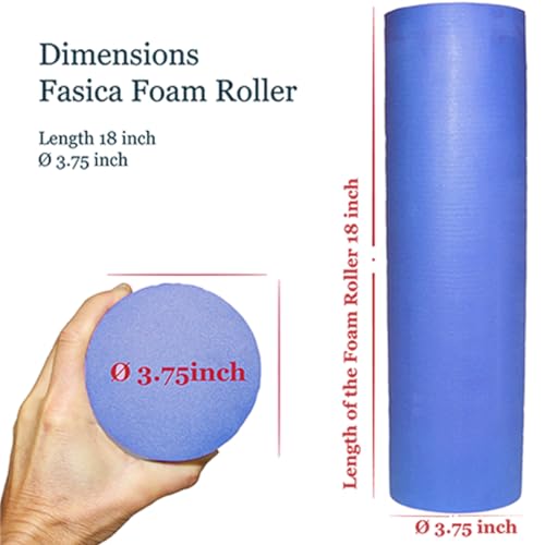 Foam Roller Back Leg Muscle Pain - Small Size Hard Density EVA Muscle Recovery Roll Ø3.75"x18" for Physical Therapy, Helps as Spine Cracker Stretcher