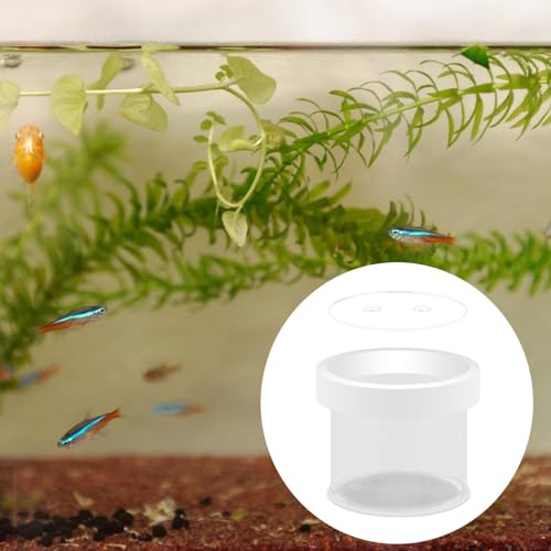 Fish Breeder Box Fish Tank Hatchery Floating Acrylic Transparent Fine Mesh Bottom Isolation Box Incubator for Baby Fish Betta, 12cmx10cm