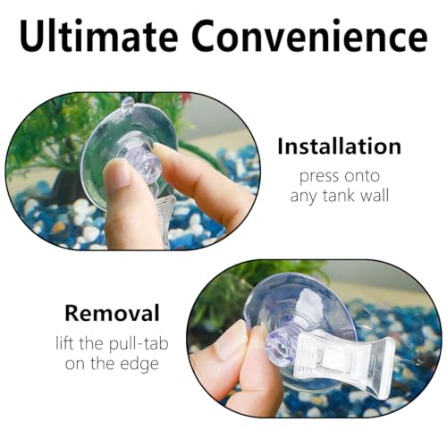 5PCS Sucker Type Fish Feeding Clip 1.78 Inch Diameter Multi Functional Transparent Plastic Sucker Clip for Fish Feeding in Aquariums Aquatic Plant and Algae Fixing Advertising Display