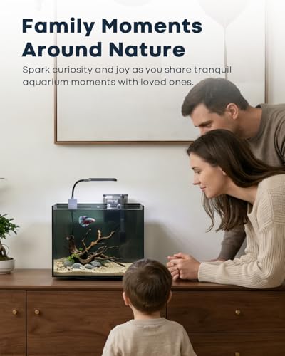 3 Gallon Small Fish Tank Glass Aquarium Set with 2 Pack G1 Filter Media Replacement