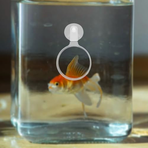 Beaupretty 4pcs Fish Tank Magnifying Glass Suction Cups Acrylic Magnifier for Aquariums and Reptile Tanks for Observing Animals and Plants