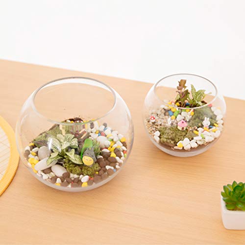 WGV Bowl Glass Vase, Diameter 8", Height 6.5", Open Width 3.75", (Multiple Sizes Choices) Clear Bubble Planter Terrarium Fish Bowl for Wedding Event Home Decor, 1 Piece (VBW0008) - size: 8"D 1 Piece