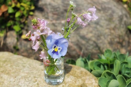 WGVI Quality Thick Clear Cylinder Glass Vase, 3" W x 5" H, Floral Container, Glass Candle Holder, Flower Vases, Wedding Centerpiece, Planter Terrarium, Table Top Home Décor Accent, 1 Piece - size: 3"x5"H