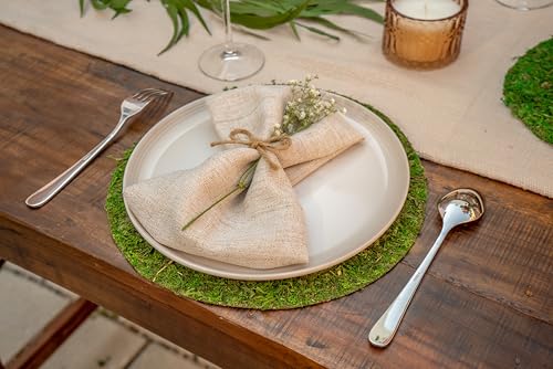 SuperMoss (26325) Moss Soil Toppers (Place Mats), Fresh Green, 16" (3 units) - color: Fresh Green, size: 16" (3 units)
