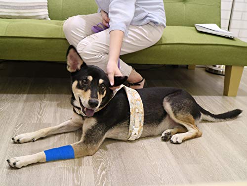 FRESINIDER 9 Rolls Self Adhesive Wrap Athletic Tape Gauze, Breathable Elastic Cohesive Bandage for Sports Injury & Pet (7 Pcs 2" x 5 Yards + 2 Pcs 1" X 5 Yards) (Blue) - color: Blue