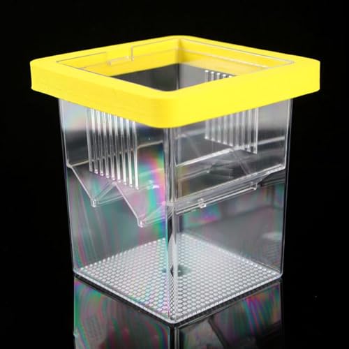 Breeder Box Aquarium Box Fish Egg Square Design PP Material Suitable for Betta Clownfish, Yellow