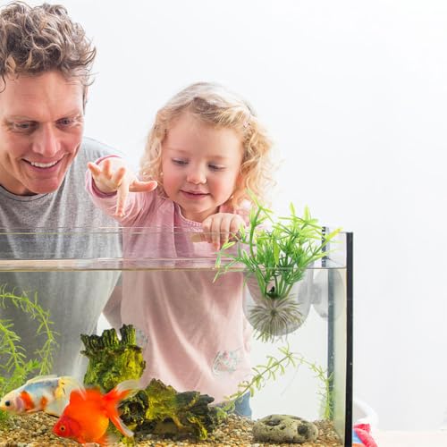 BESPORTBLE 8Pcs Hanging Aquarium Plant Holder, Acrylic Fish Tank Planter for Hydroponic Plants, Clear Space-Saving Aquatic Suction Cups for Home, Office, Hotel