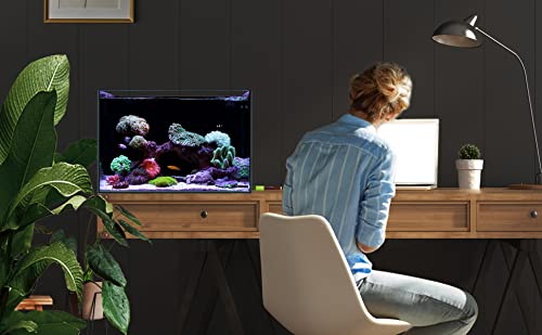 60P 26.23 Gallon Ultra Clear All Glass Rimless Low Iron Aquarium Tank with Rear Filtration Chamber for Salt and Fresh (Return Pump Included) 23.6Wx17.7Dx15.8H in(60x45x40cm) 8mm Thickness