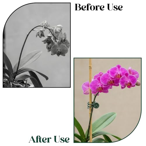 50 Pcs Plant Clips for Climbing Plants Orchid Clips for Plants Support Garden Flower Stem Vine Clip, Dark Green