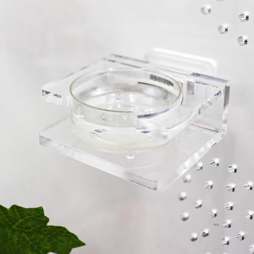 Jumping Spider Feeding Dish, Transparent Acrylic Magnetic Tiny Tarantula Food Bowl Water Dish, Enclosure Feeder Accessories for Jumping Spider Tarantula Small Spider - 2 × 1.8 Inch - size: 1 Pack