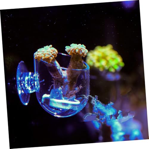 2pcs Aquarium Fish Feeding Cups with Suction Cups, Acrylic Blood Worm Food Holders for Fish Tank Feeding, Aquarium Feeder Tool Suitable for Freshwater and Saltwater Tanks