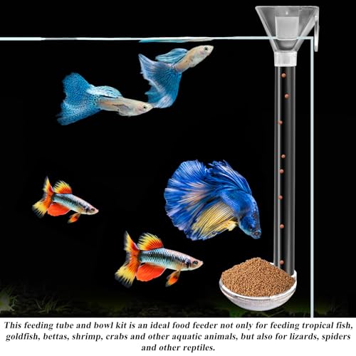 Aquarium Fish Shrimp Feeding Dish Set, Shrimp Feeding Dish Set, Transparent Shrimp Feeding Adjustable Tube with Feeding Ring, Cleaning Brush for Fish Tank and Preventing Food Scattering (Large) - size: Large