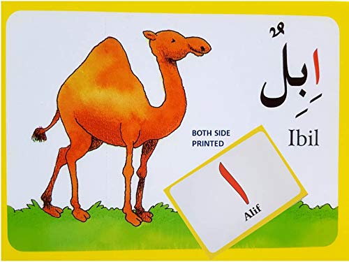 Arabic Alphabet Flash Cards (English and Arabic Edition) Arabic English Alphabets Flash Cards-Alif Ba Taa.. Arabic Alphabets Islamic Learning Ramadan Gift Holy Quran Eid Gifts-Islamic Gifts 123
