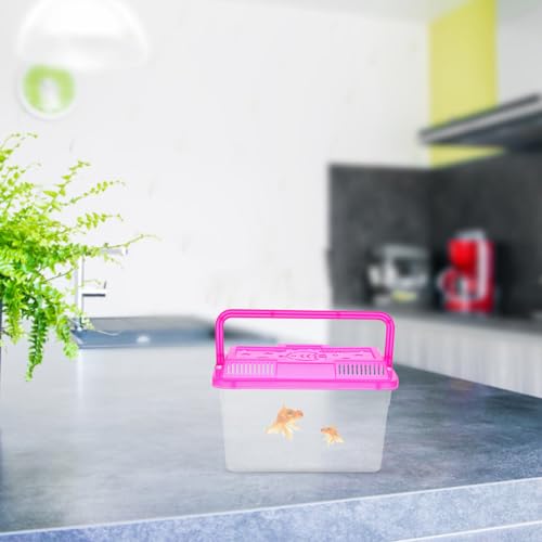BESPORTBLE 4pcs Mini Handheld Fish Tank with Handle Portable Transparent Aquarium Box for Small Fish Turtles Reptiles and Hamsters for Travel and Pet Transport