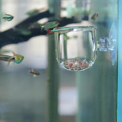 Aquarium Feeding Cup Fish Feeder Glass Acrylic Suction Cup Container for Freshwater Saltwater Tanks with Premium Suction Red Live Food Feeder (Glass Perforated (Suitable for nematodes)) - size: Glass perforated cup (suitable for nematodes)